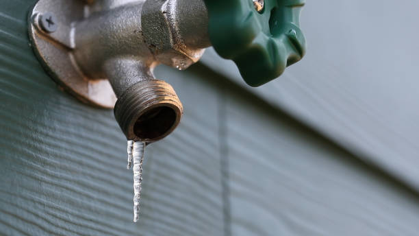 Best Drain Cleaning Services  in Rose Hills, CA